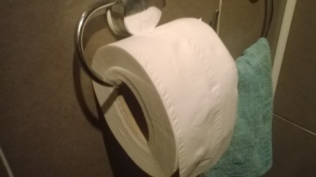 Using Less Toilet Tissue