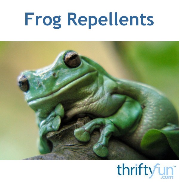 Frog Repellents? | ThriftyFun