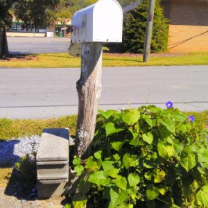 Cinderblock Mailbox Support