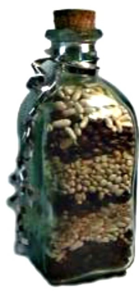 Decorative Bean Bottle