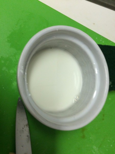 Slow Cooker Turkey with Gravy