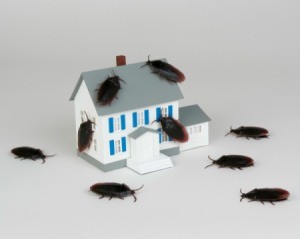 Miniature of a house, which is being covered and surrounded by cockroaches