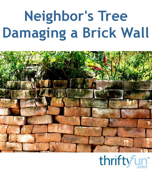 Neighbor's Tree Damaging a Brick Wall? ThriftyFun