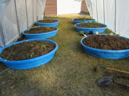 Several kiddie pools being used to grow plants