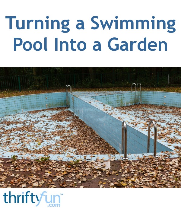 Turning a Swimming Pool Into a Garden | ThriftyFun