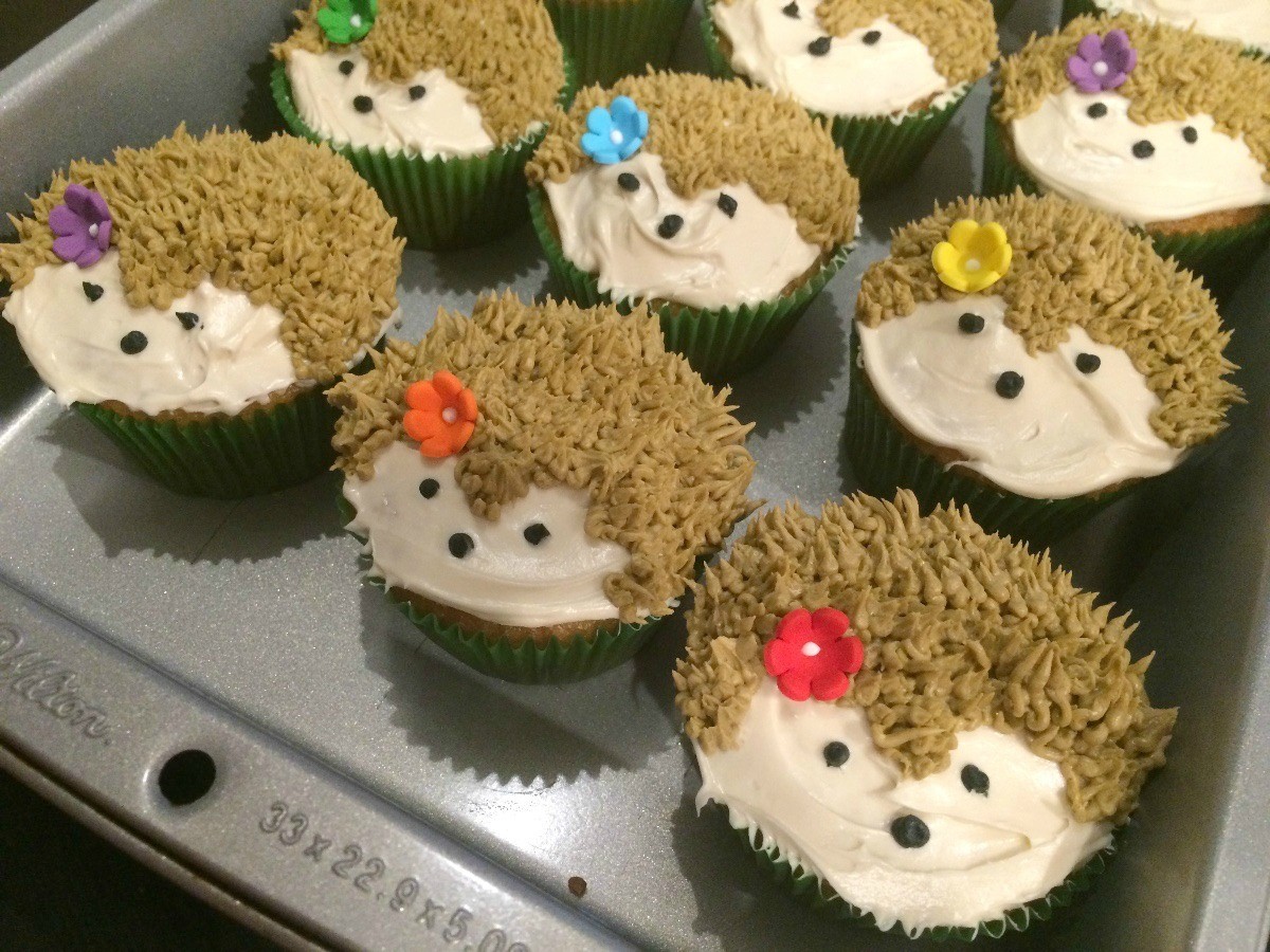 Hedgehog Cupcakes | ThriftyFun