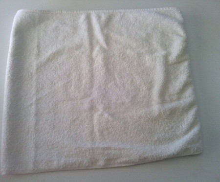 Plantable Seed Paper