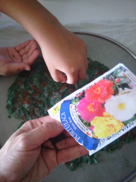Plantable Seed Paper