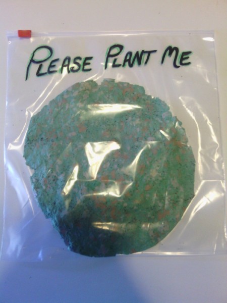 Plantable Seed Paper