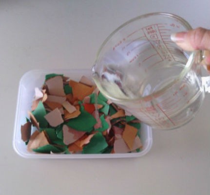 Plantable Seed Paper