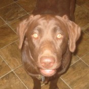 closeup of face