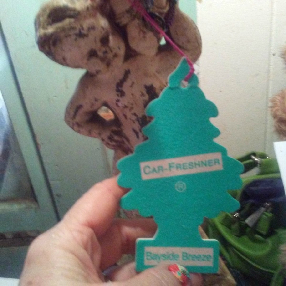 Reusing Car Air Fresheners ThriftyFun