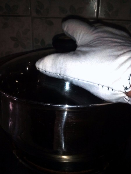 Kitchen Mitt From Old Shirts