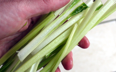 spinach stalks