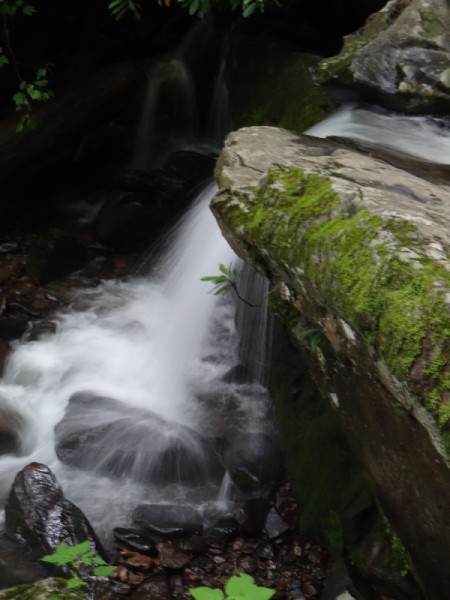 View of a small falls tumbling over a mossy rock.