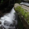 View of a small falls tumbling over a mossy rock.