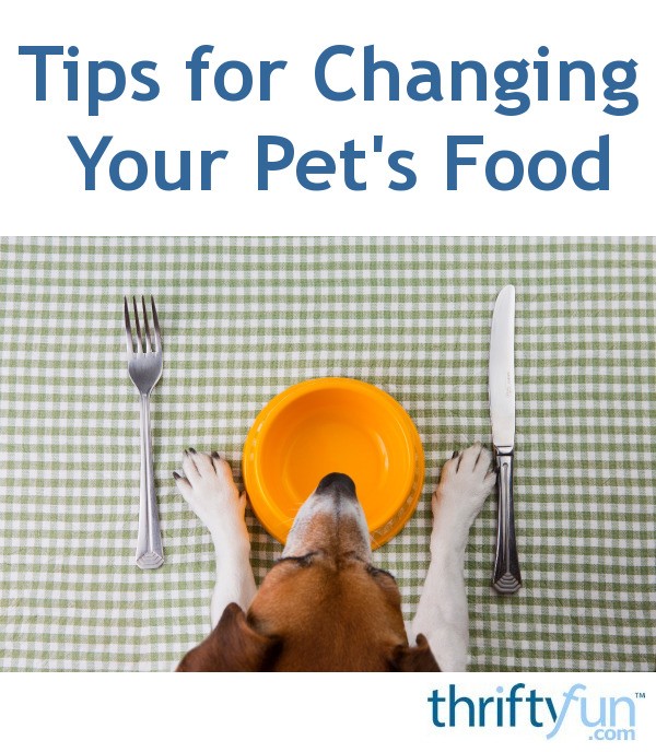 Tips for Changing Your Pet's Food ThriftyFun