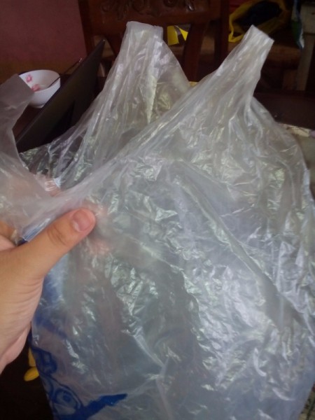 Converting a Tote Bag into a Trash Can