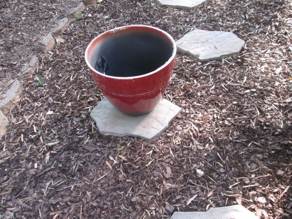 Fill Planters With Recycled Bottles