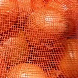 Close-up of oranges in an orange net bag