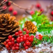Pinecone, berries, bits of evergreen branches with fake snow