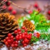 Pinecone, berries, bits of evergreen branches with fake snow