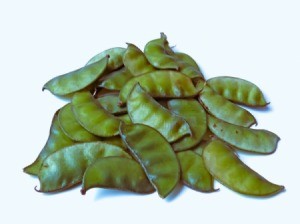 A pile of fresh hyacinth beans.