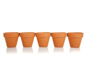 5 Terra Cotta Pots in a row.