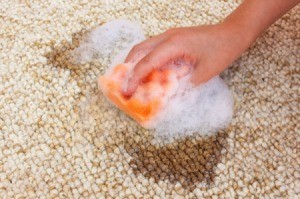 Hand scrubbing and oil stain out of a carpet.