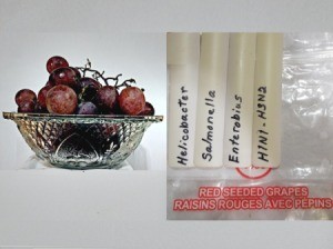 Grapes next to potential diseases.