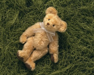 A posable teddy bear on a grassy background.