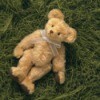 A posable teddy bear on a grassy background.