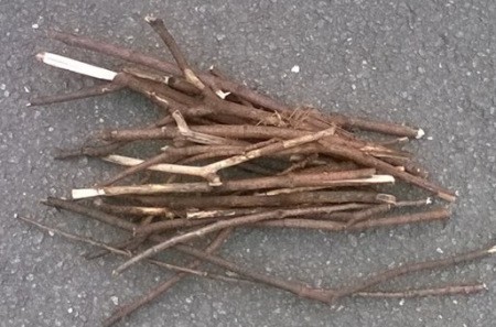 twigs