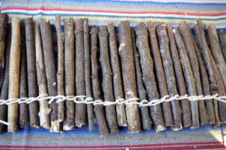 line of string wrapped twigs