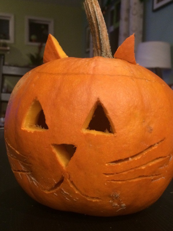 Kitty Jack-o'-Lantern | My Frugal Halloween