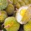 A pile of exotic durian fruits from Southeast Asia