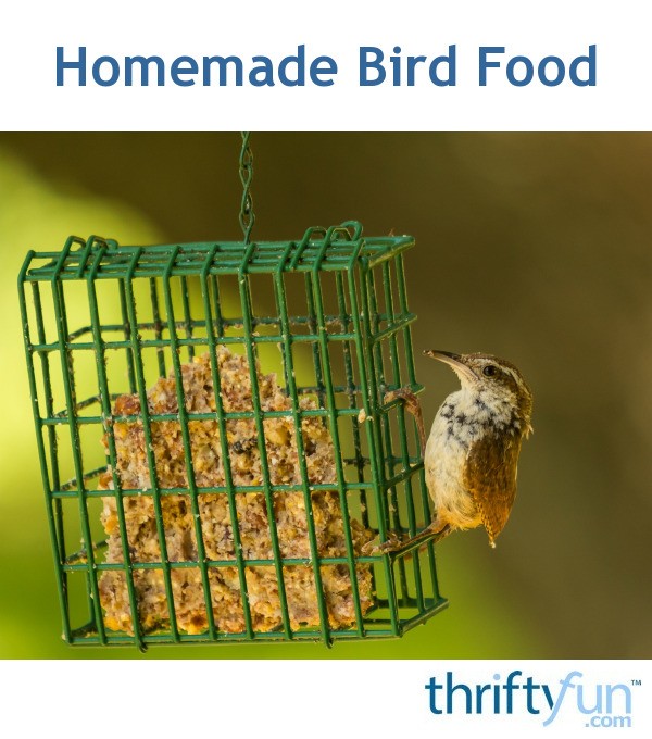 Homemade Bird Food ThriftyFun