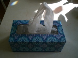 A empty tissue box being reused to store plastic bags.