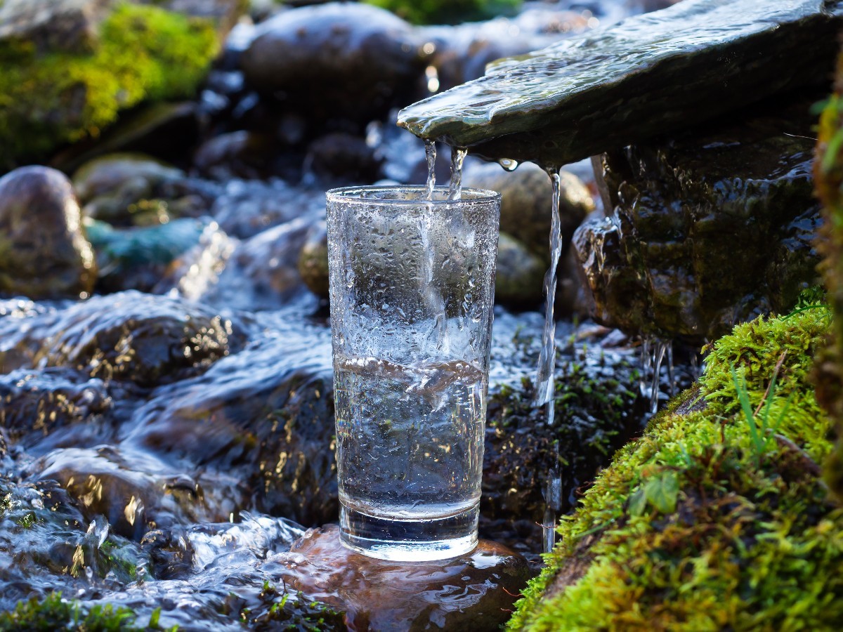 finding-natural-spring-water-thriftyfun