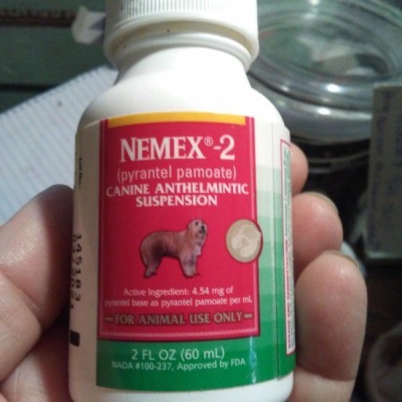 Product Review: Nemex 2 for Worming Cats and Kittens