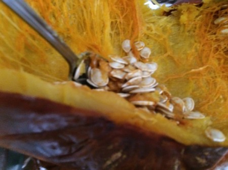 Homemade Pumpkin Puree