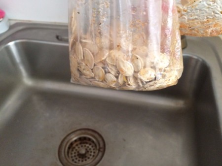 Roasted Pumpkin Seeds