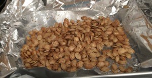 Roasted Pumpkin Seeds