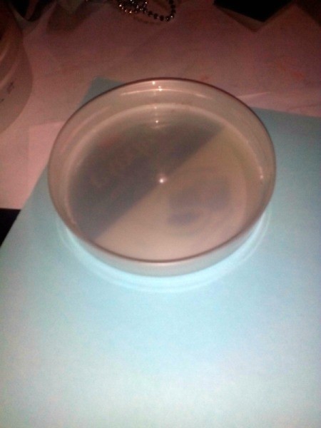 Recycled Plastic Container Jewelry Keeper