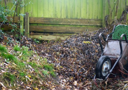 pile of twigs and leaves for hedgehog