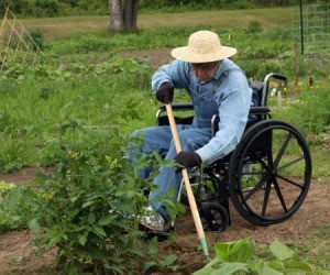 A person in a wheelchair gardening.