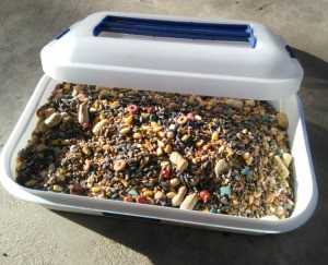 plastic container for bird seed