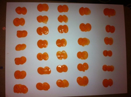 Thumbkin Pumpkin Thumbprint Patch