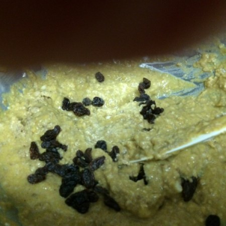 Pumpkin Flax Muffins