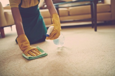 A person trying to clean stains off of carpet.